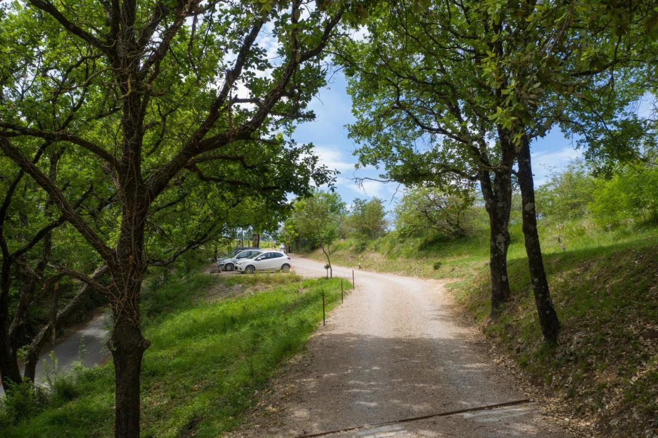 Villa La Coccola Poggibonsi Kültér fotó